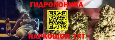 прущие грибы Комсомольск-на-Амуре