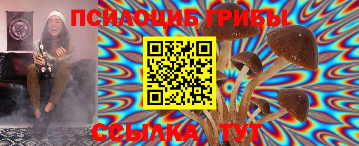 Псилоцибиновые грибы ЛСД  Псилоцибиновые грибы ЛСД  Коркино  Вход с VPN 